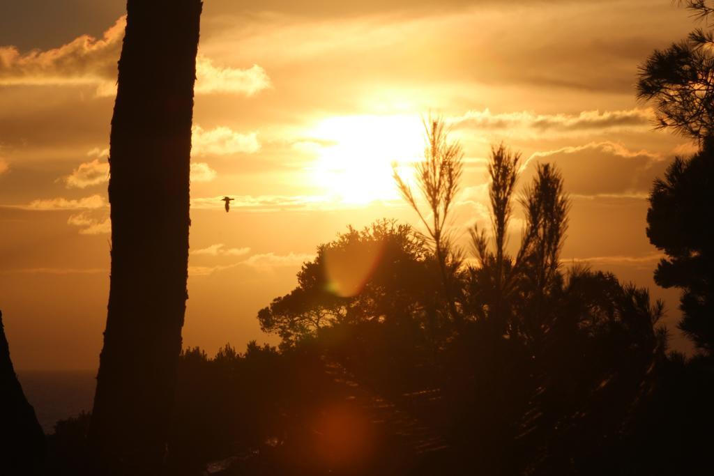 Villa Calanques Ensues-la-Redonne Buitenkant foto